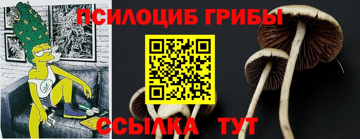 Нурлат  Псилоцибиновые грибы прущие грибы  Вход с VPN 